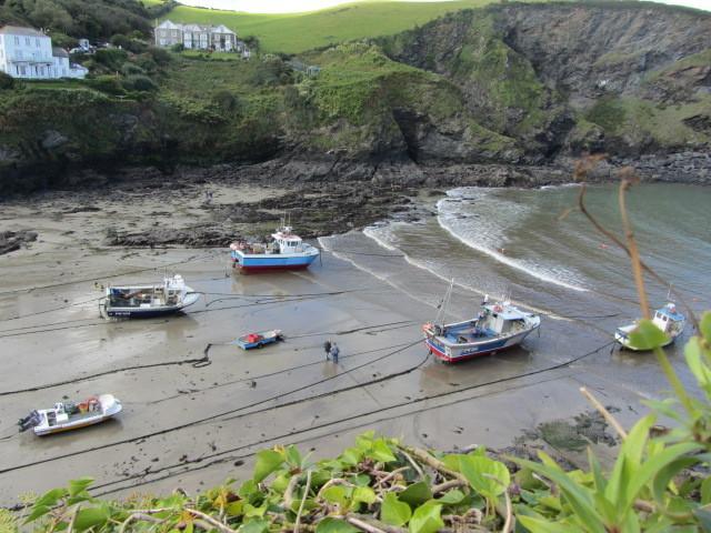 Gunnado St Austell Quarto foto